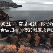 澳彩800图库 - 常见问题 - 移动端友好 - 更适合做归档，澳彩图库永远的领先