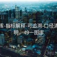 49图库-指标解释-可追溯-口径清晰透明，49一图库