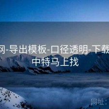 中特网-导出模板-口径透明-下载数据，中特马上找