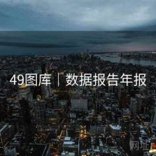 49图库｜数据报告年报