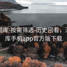 新澳图库-按需筛选-历史回看，澳彩图库手机app官方版下载