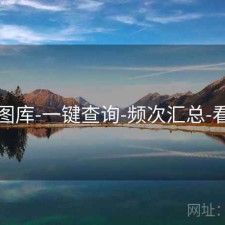 49图库-一键查询-频次汇总-看板