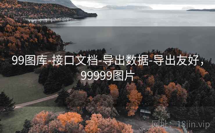 99图库-接口文档-导出数据-导出友好，99999图片  第2张