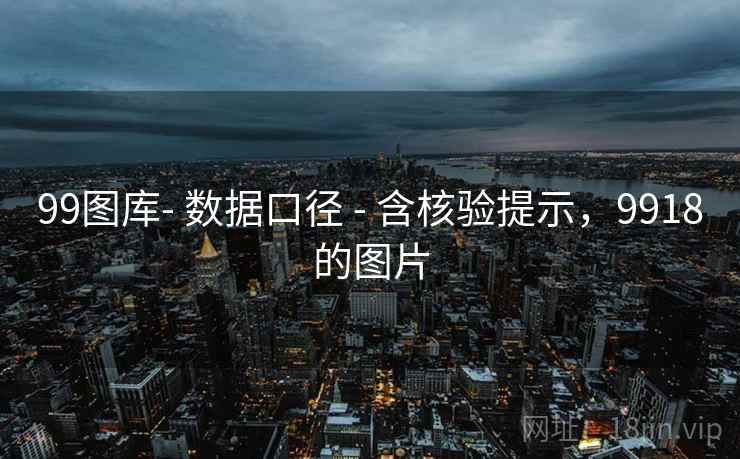 99图库- 数据口径 - 含核验提示，9918的图片  第2张